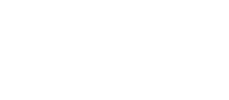 Luxury day boat