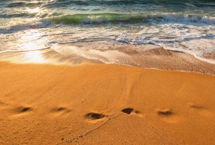 Excursions et mini-croisière en bateau de la plage de Cannes