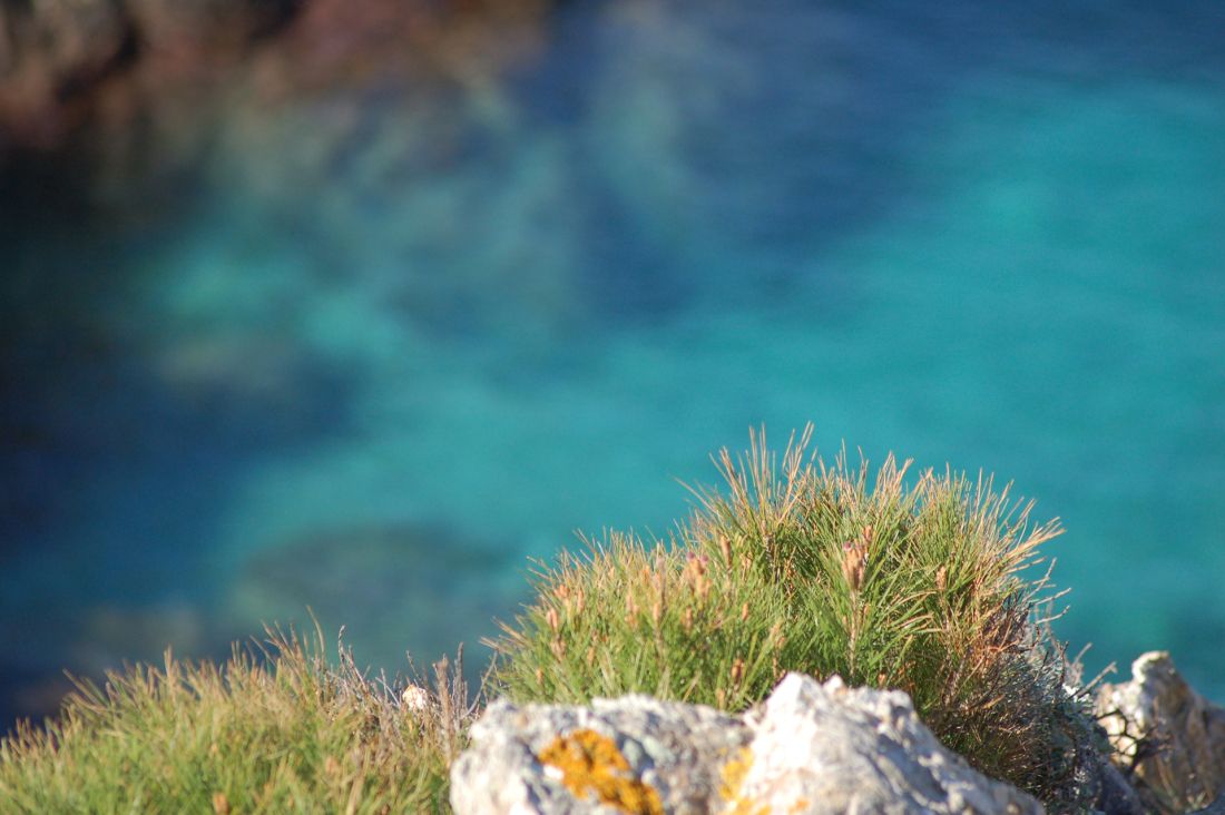 Découvrez les eaux turquoises de l'île de Porquerolles