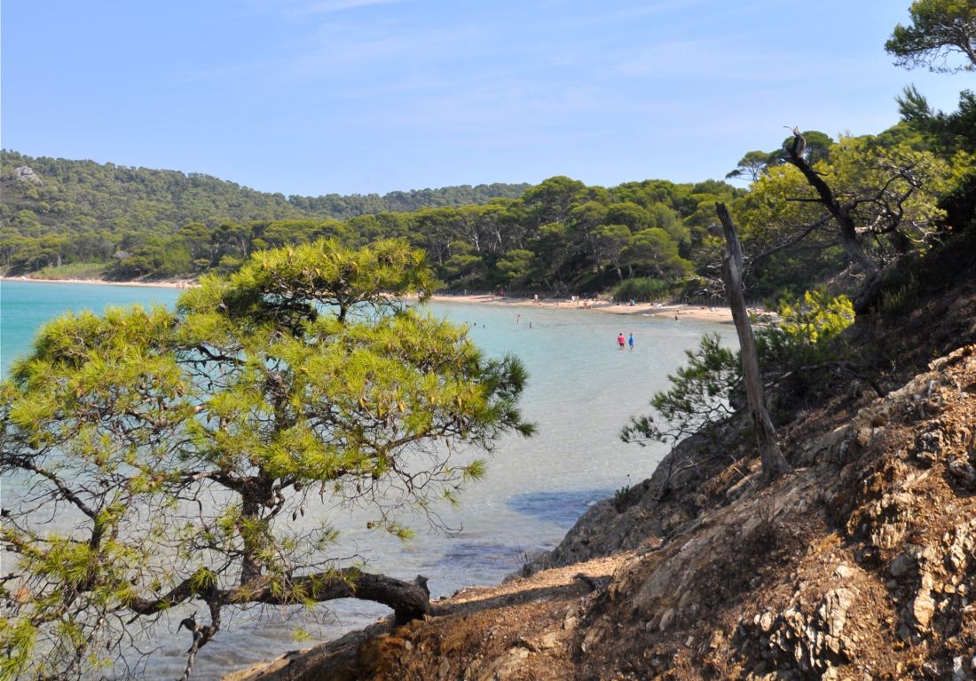 Excursion en mer Cannes vers Porquerolles en bateau