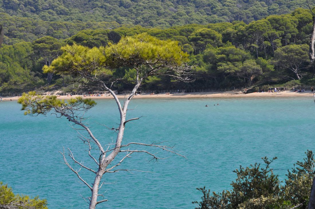 Cannes Porquerolles en bateau