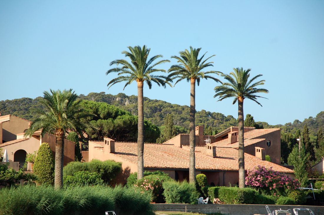 Visitez Porquerolles en bateau