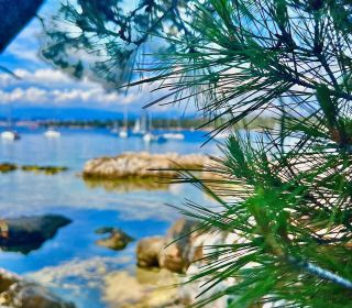 Miniature instagram